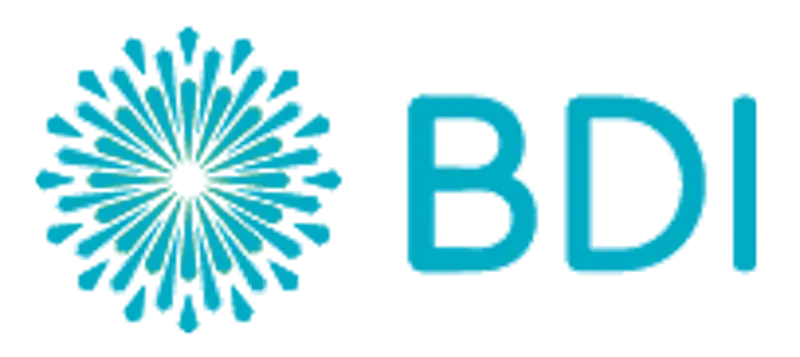 BDI LOGO HEADER 2