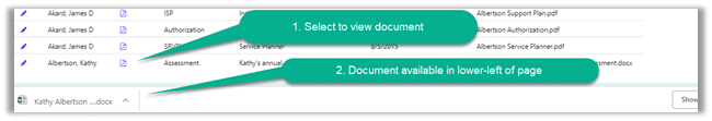 open or view document