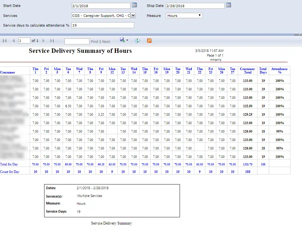 service delivery summary report