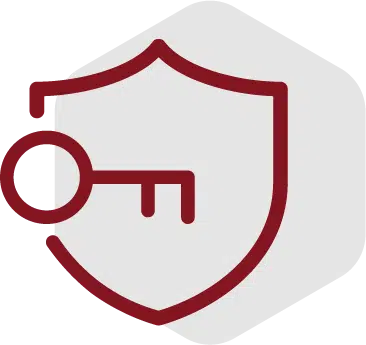 Vertex Billing Authorization Management Icon