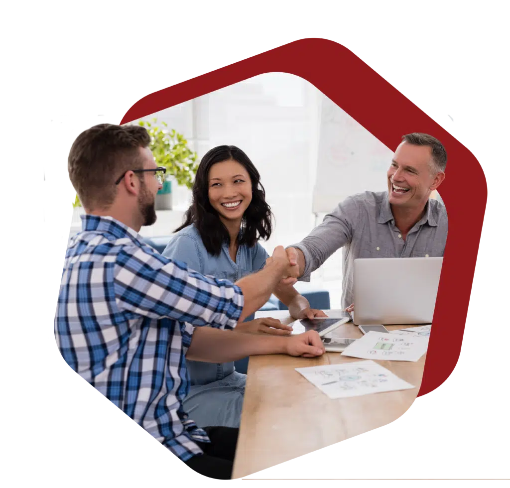 Vertex Solutions Page Image 4