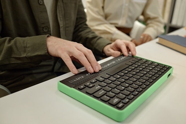 Accessible IDD software interface showing screen reader compatibility and keyboard navigation tools for blind and visually impaired staff at disability services organizations