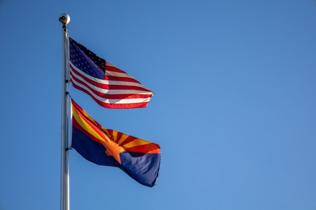 Arizona IDD agency billing staff reviewing DDD service code accuracy and AHCCCS Online claim submissions with EVV integration in Vertex Billing Manager